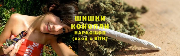 спиды Каменногорск