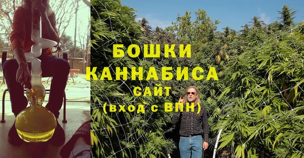 спиды Каменногорск