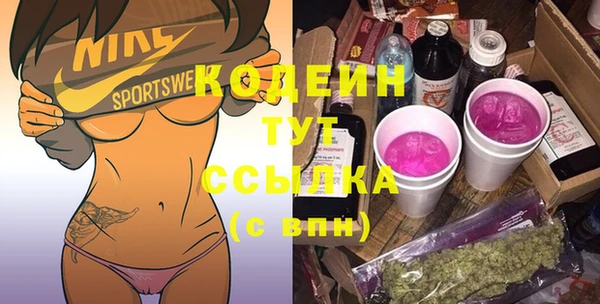 МДПВ Каменка