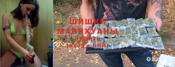 МДПВ Каменка