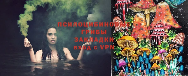 МДПВ Каменка