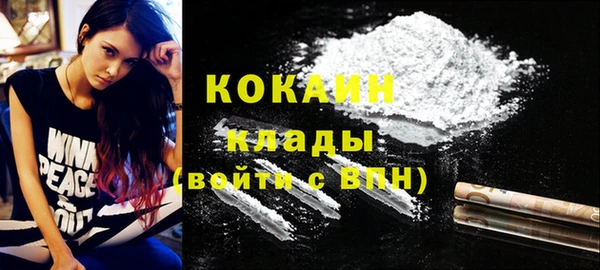 МДПВ Каменка