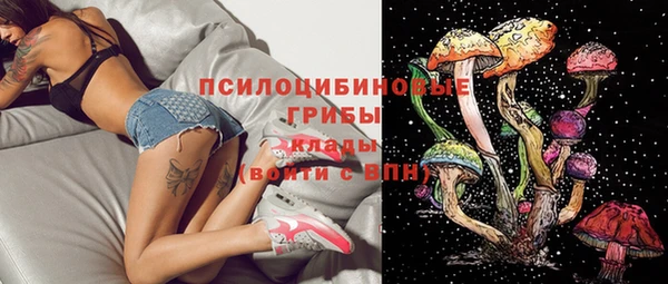твердый Каменск-Шахтинский