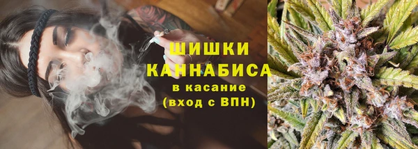 МДПВ Каменка