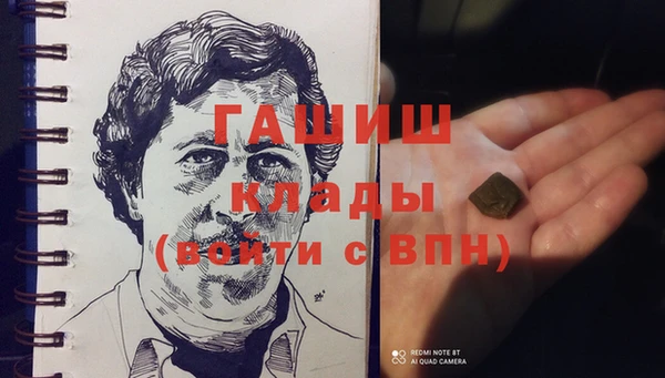 МДПВ Каменка