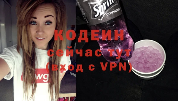 спиды Каменногорск