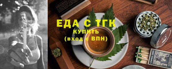 спиды Каменногорск