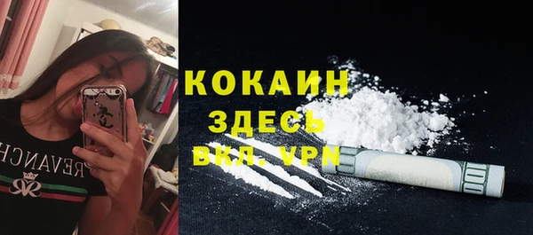 твердый Каменск-Шахтинский