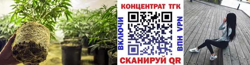 ТГК Wax  Купить закладки  Петушки 